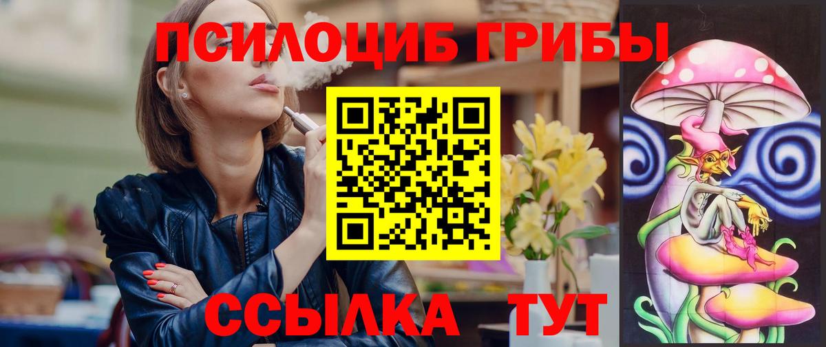 Псилоцибиновые грибы Psilocybe Сальск