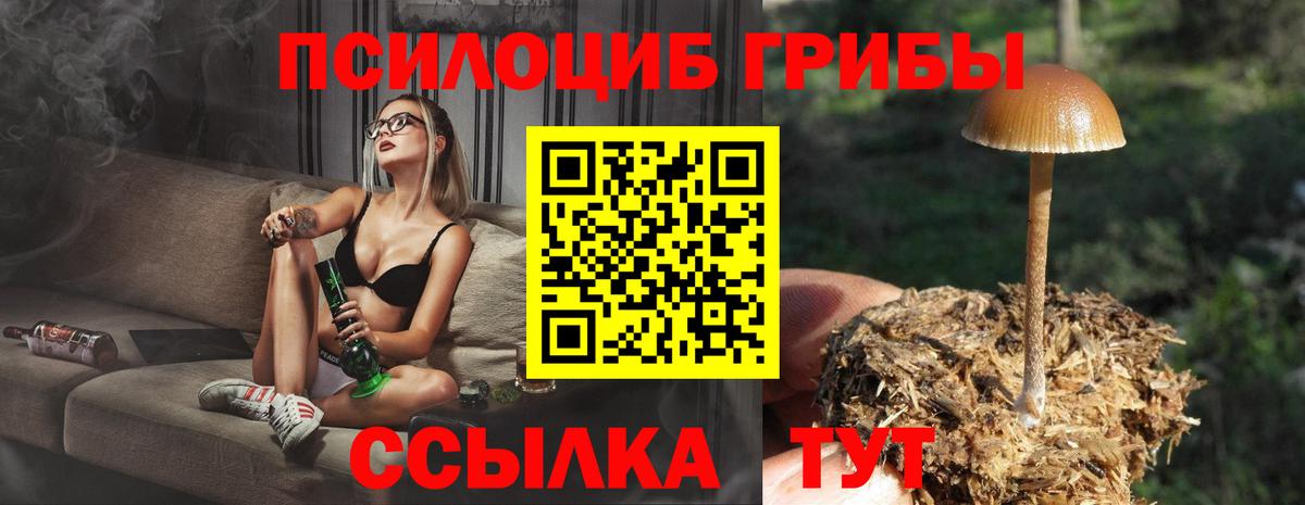 Псилоцибиновые грибы Psilocybine cubensis  Вход с VPN  Сальск 